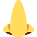 Set of nose 1