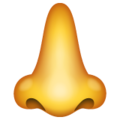 Set of nose 2